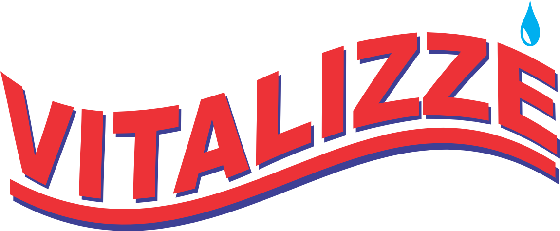 Vitalizze - logo png